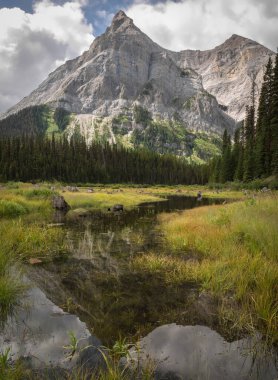 Nehrin kıvrımlarına yansıyan dağ yukarı Kananaskis Gölü patikasında çekildi, Alberta, Kanada