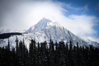 Altında ağaçlar olan karlı dağ, Banff Ulusal Parkı 'nda çekildi, Alberta, Kanada
