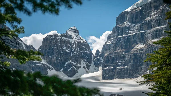 Vista sobre montañas rocosas nevadas enmarcadas por ramas de coníferas. Fotografía en el área de Lake Louise, Banff National Park, Alberta, Canadá —  Fotos de Stock
