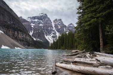 Turkuaz sularla çevrili güzel alp gölü muhteşem tepeler, Moraine Gölü 'nde kapalı bir günde dar çekim, Banff Ulusal Parkı