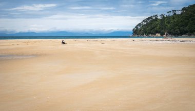 Kumsalda altın kumlarla dinlenen biri. Abel Tasman Ulusal Parkı, Yeni Zelanda 'da çekildi.