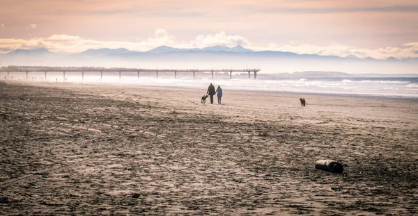 Renkli günbatımından hemen önce sahilde köpek gezdiren bir çift. Yeni Zelanda, Christchurch 'deki New Brighton Sahili' nde çekilmiş.