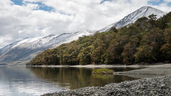 Kristallklar strandlinje detalj med skog och berg sköt vid Mavora sjöar, Nya Zeeland — Stockfoto
