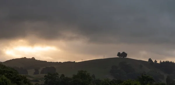 Cena de pôr do sol nublado com colinas e árvores solitárias em cima deles. Tiro em Kaikoura, Nova Zelândia — Fotografia de Stock