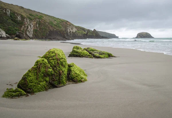 Playa remota con rocas musgosas en primer plano. Disparo realizado durante el día nublado en Allans Beach, Dunedin, Península de Otago, Nueva Zelanda — Foto de Stock