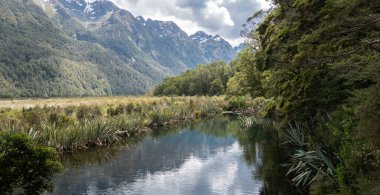 Sağdaki ağaçlar ve soldaki dağlar tarafından çerçevelenmiş küçük göl manzarası. Fotoğraf: Fiordland Ulusal Parkı 'ndaki Mirror Lakes, Yeni Zelanda