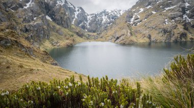 Güzel alp gölü, Yeni Zelanda 'daki Routeburn Pisti' nde bulutlu bir günde çekilen kayalıklarla çevrili.