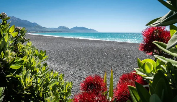 Gök mavisi gökyüzü ve gök kubbeli çakıl taşı plajı Kaikoura, Yeni Zelanda 'da çekilmiştir.