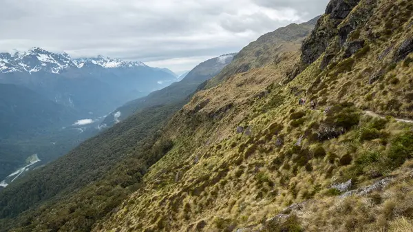 Wandelaars aan de zijkant van de berg met uitzicht op het Alpendal. Geschoten op Routeburn Track, Nieuw-Zeeland — Stockfoto