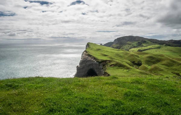 Paisaje costero con verdes colinas y acantilados, filmado en Cape Farewell, Nueva Zelanda — Foto de Stock