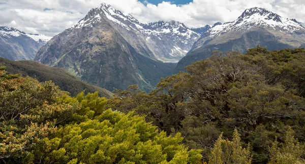 Vistas sobre picos de montanha com árvores em primeiro plano. Tiro em Routeburn Track, Nova Zelândia — Fotografia de Stock