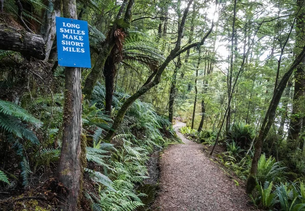 Cesta vedoucí hustým džunglím lesem s motivačním poselstvím na ceduli vedle trati. Kepler Track, Národní park Fiordland, Nový Zéland — Stock fotografie