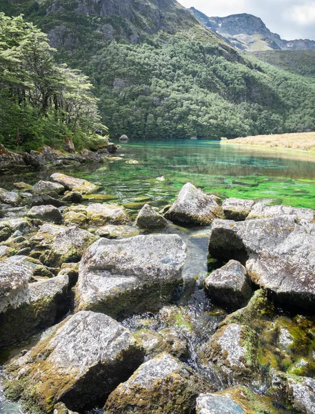 Crystal clear lake with amazing colors, portrait shot made at Nelson Lakes National Park, New Zealand — Stock Photo, Image