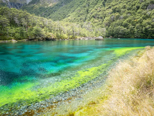 Lago cristalino com cores incríveis, filmado no Nelson Lakes National Park, Nova Zelândia — Fotografia de Stock
