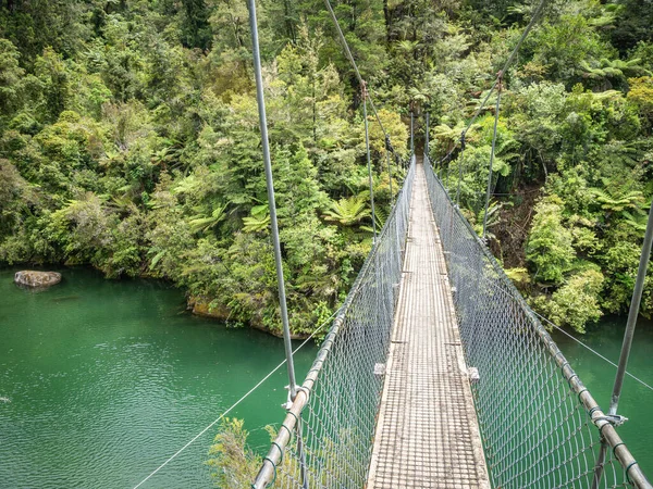 Djungellandskap med swing bridge, Skott i Abel Tasman National Park, Nya Zeeland — Stockfoto