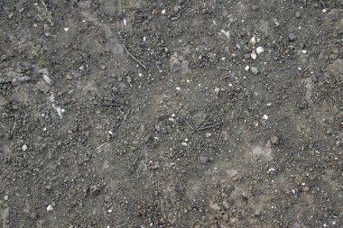 Zeminin yakın çekimi, çatlamış toprağın üst görüntüsü, ilkbaharda çatlaklarda kuru toprak..