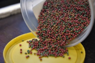 Balık yeminin yakın plan çekimi.