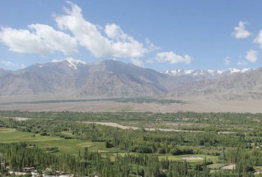 Ladakh, Hindistan 'da çıplak dağlarla çevrili güzel bir yeşilliğin hava görüntüsü.
