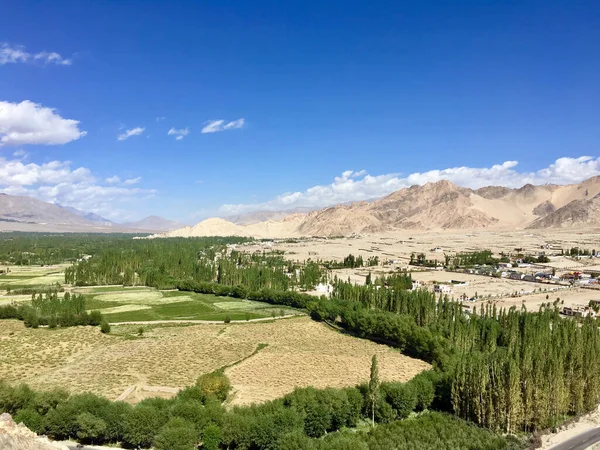 Beautiful View Leh City Green Indus Valley Leh Palace Middle — Stock Photo, Image
