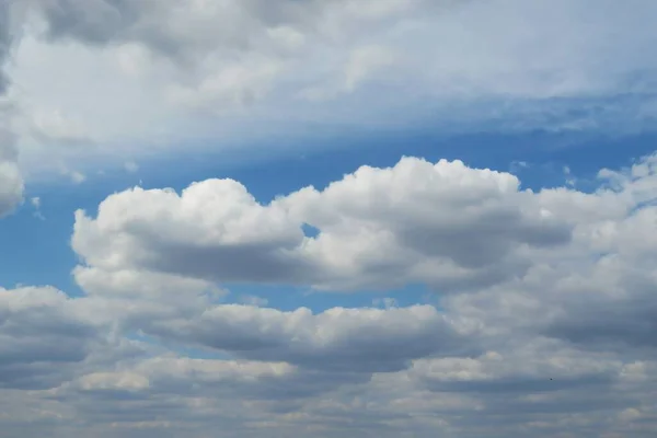 하늘을 배경으로 아름다운 이보입니다 — 스톡 사진