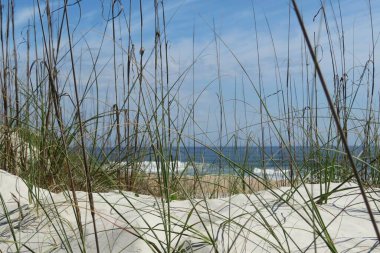 Florida sahilinde güzel kum tepeleri ve okyanus manzarası