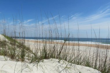 Florida sahilinde güzel kum tepeleri ve okyanus manzarası