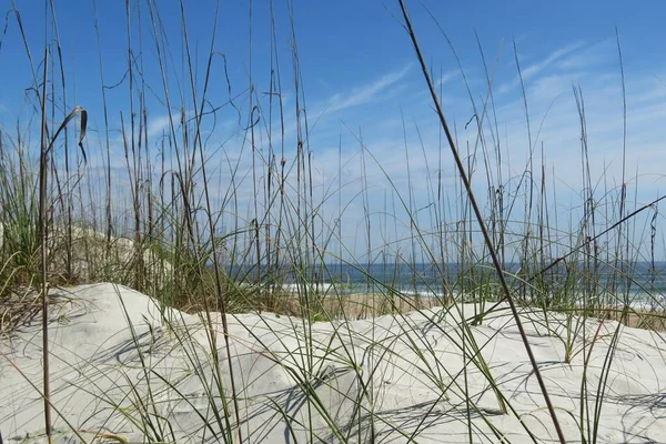 Belles Dunes Vue Sur Océan Floride Plage — Photo