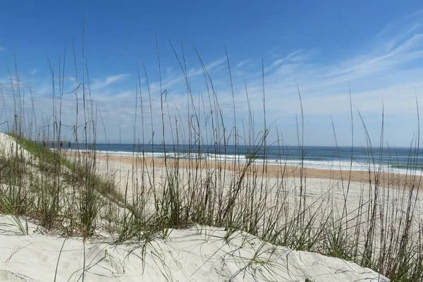Florida sahilinde güzel kum tepeleri ve okyanus manzarası