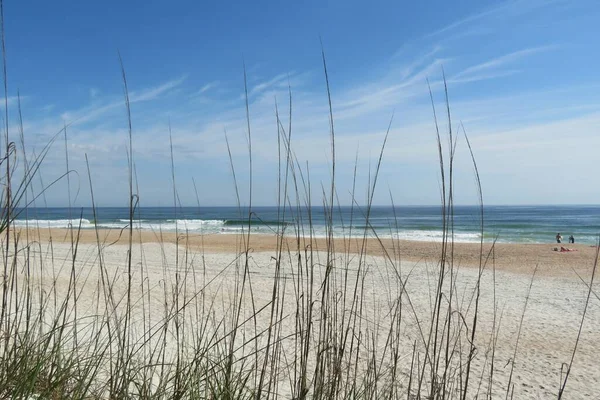 Beautiful Dunes Ocean View Florida Beach — Stock Photo, Image