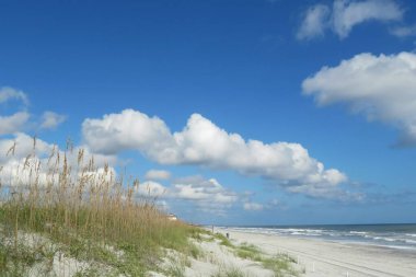 Güzel okyanus ve kumul manzarası Florida plajı