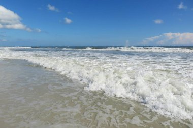Florida sahilinin güzel okyanus manzarası