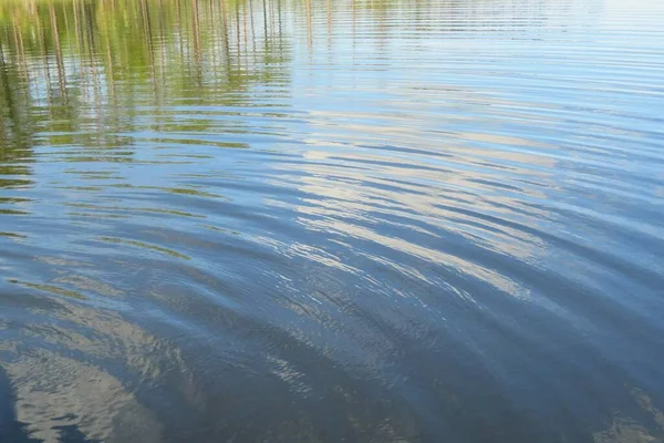 Ljusblå Flod Vattenyta Med Träd Reflektion — Stockfoto