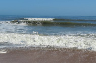 Kuzey Florida 'nın Atlantik kıyısında güzel bir okyanus manzarası