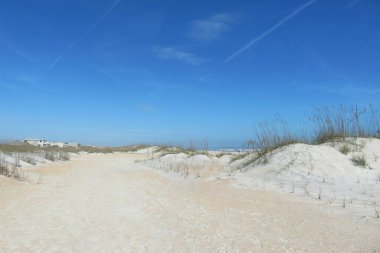 Florida sahilindeki kumulların güzel manzarası