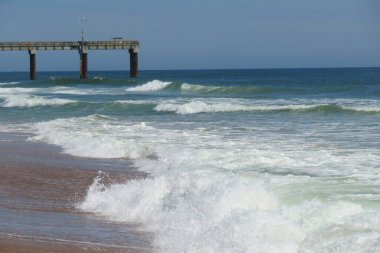 Florida plajında okyanus.