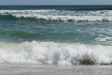 Florida sahilinin güzel okyanus manzarası