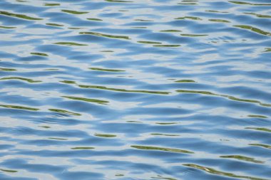 Dalgalı açık mavi su yüzeyi