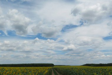 Güzel gökyüzü manzarası
