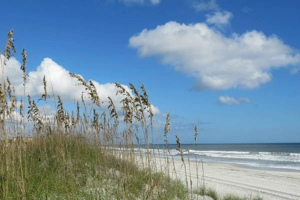 플로리다 해변의 아름다운 — 스톡 사진