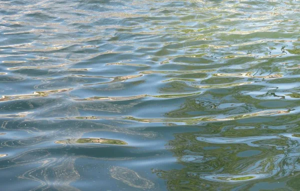 Зеленый Фон Воды Природный Бассейн Фон — стоковое фото