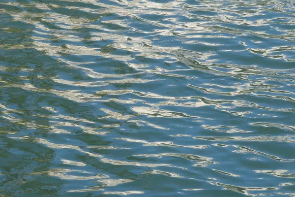Grönt Vatten Bakgrund Naturlig Pool Bakgrund — Stockfoto