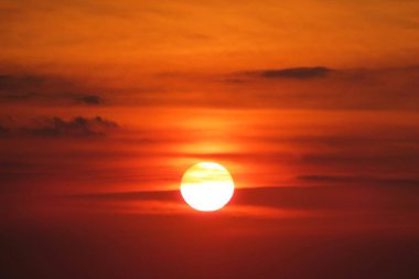 Güzel turuncu altın gün batımı, güneş atların üzerinden batıyor. 