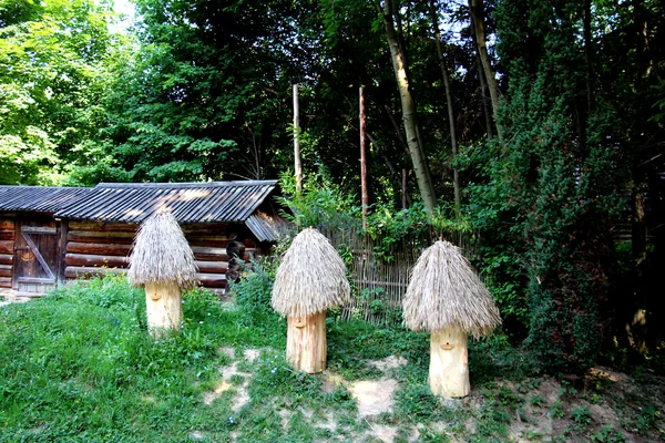 Ukrainian apiary in the woods — Stock Photo, Image