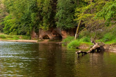 Küçük nehir Gauya