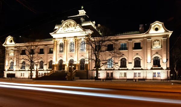 Művészeti Múzeum-Riga. — Stock Fotó