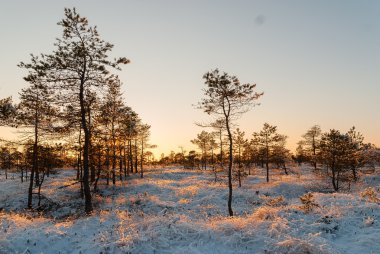 Kemeri Milli Parkı, Letonya.
