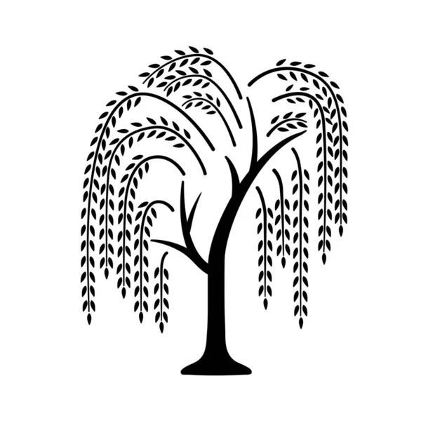 Willow tree. Black icon with tree. Vector illustration isolated on white background. Vector Graphics