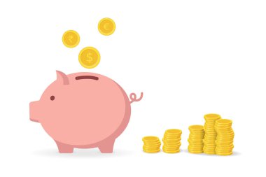 PİJİ BANK VE VECTOR