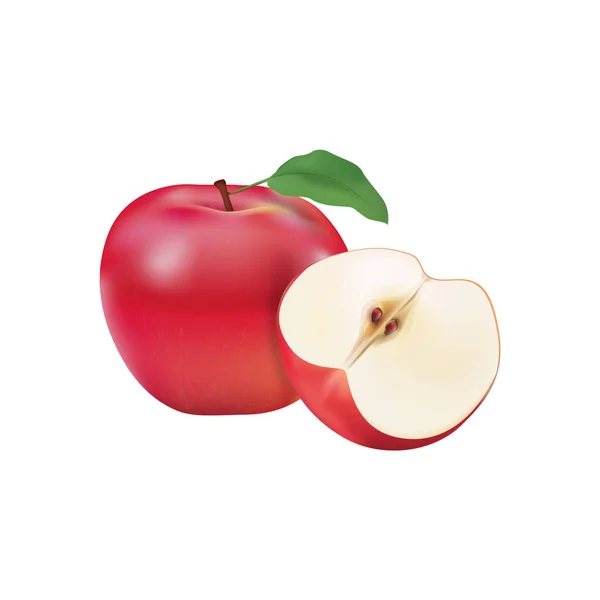 Apple Leaf Slice Vector — Stock Vector