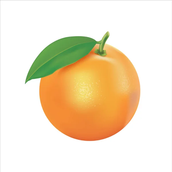 Arancio Con Vettore Foglia — Vettoriale Stock